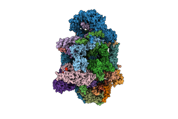 9IGU image