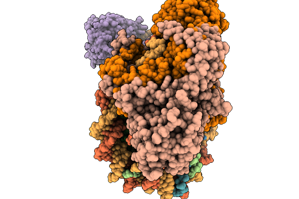 9IGX image