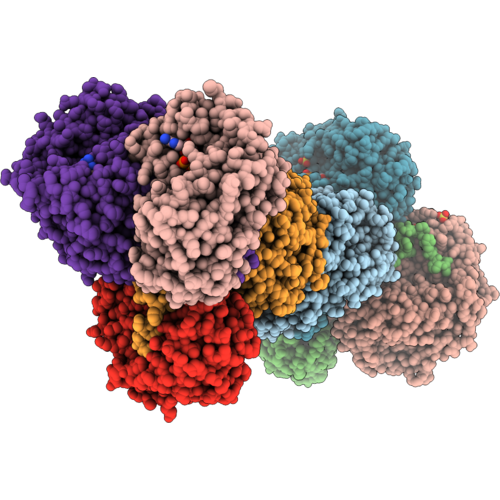 9IHB image