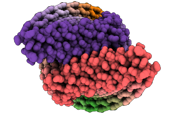 9IHH image