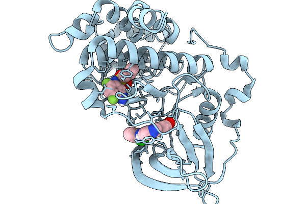 9IHI image