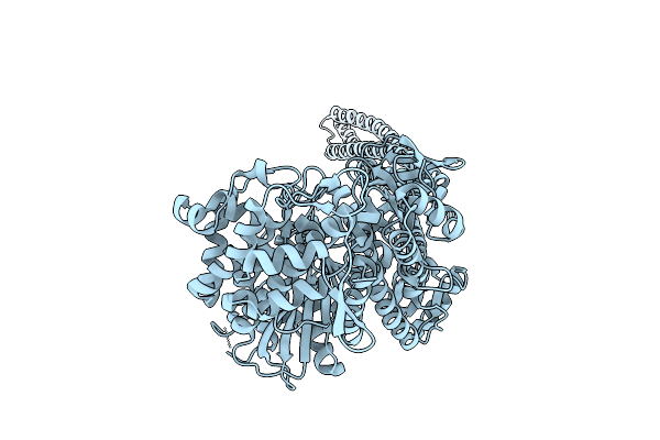 9IHL image