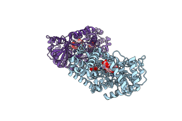 9IHX image