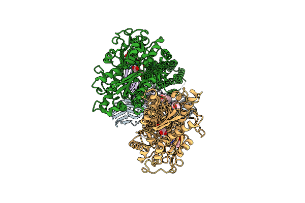 9II3 image