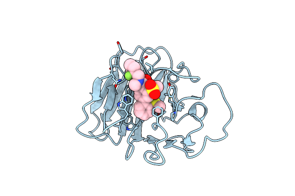9II5 image