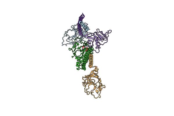 9II6 image