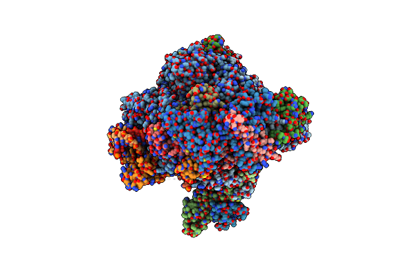 9II7 image
