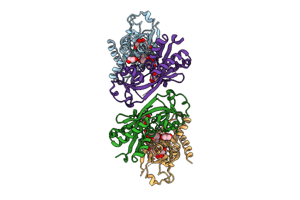 9IIB image