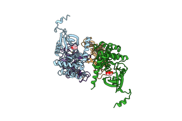 9IIC image
