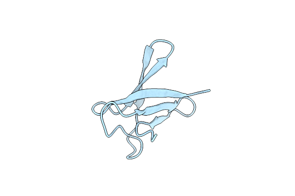 9IID image