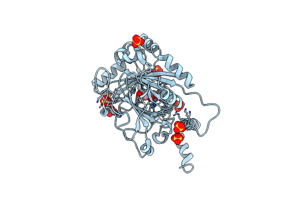 9IIF image