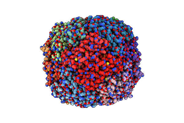 9IIG image