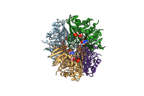 9IIM image