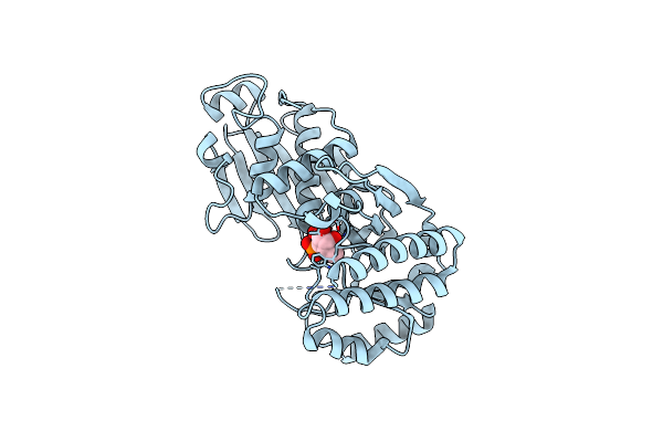 9IIP image
