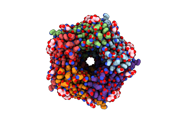 9IIV image