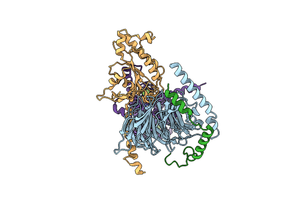 9IIX image