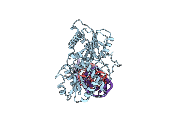 9IJ2 image