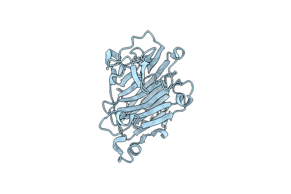 9IJC image
