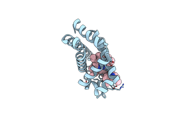 9IJO image