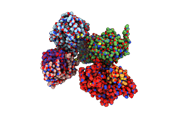 9IJU image