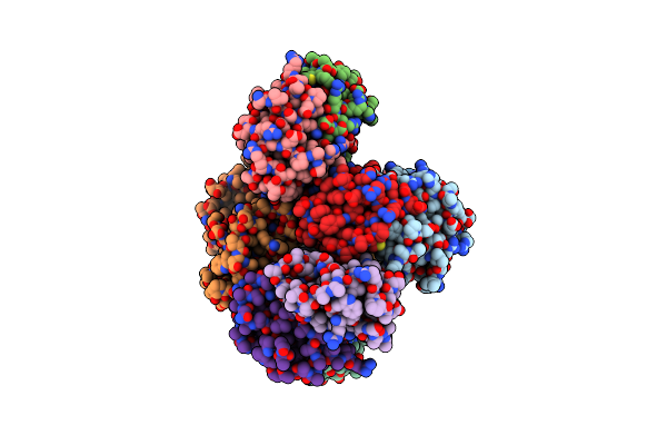 9IKD image