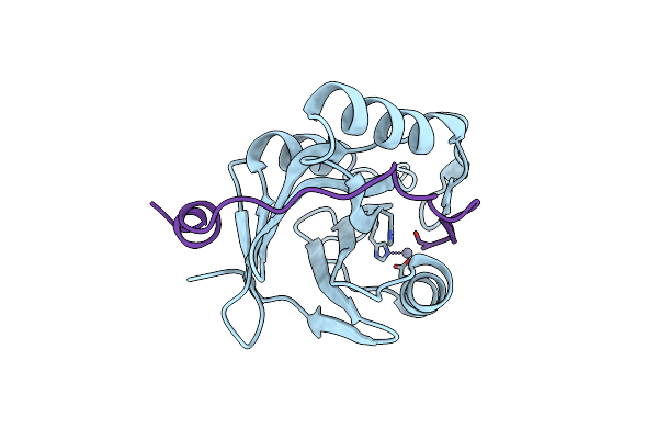 9ILD image