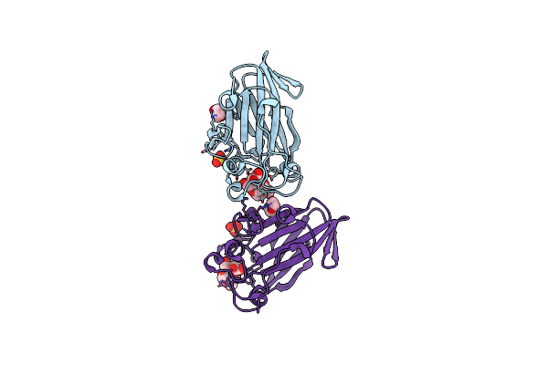 9ILF image