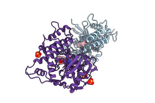 9ILN image