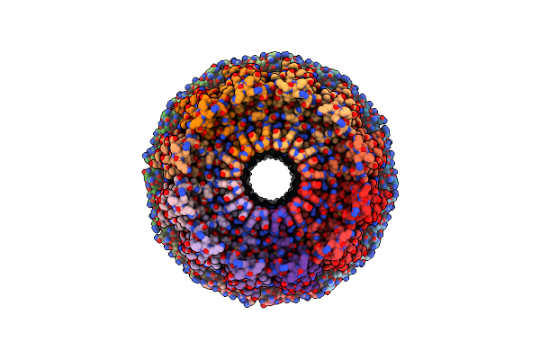 9ILP image
