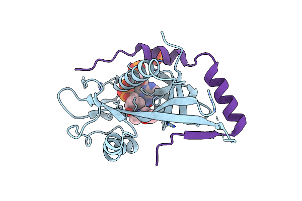 9ILR image