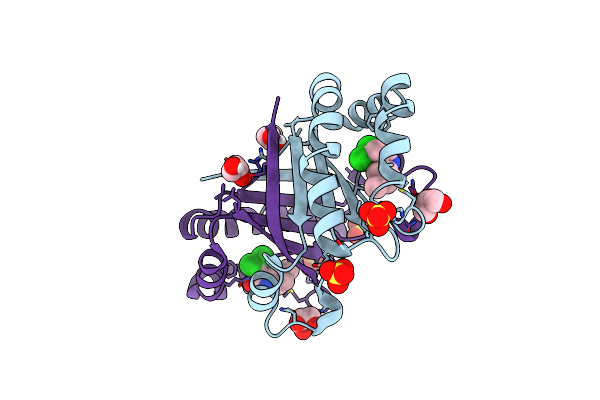 9IM9 image
