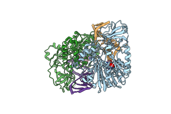 9IMB image