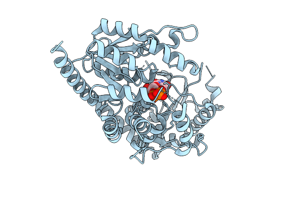 9IMI image
