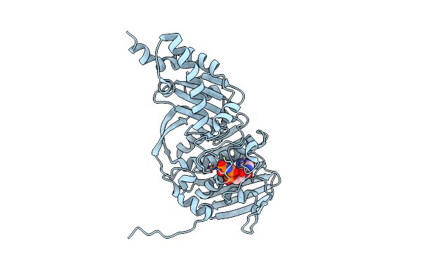 9IMJ image