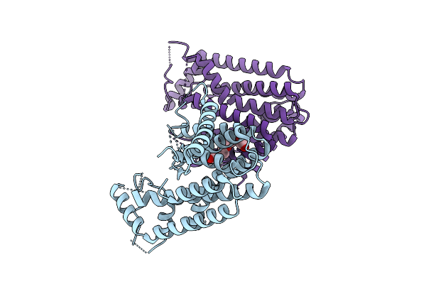 9IMS image