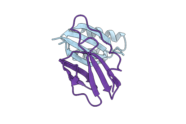 9IMU image