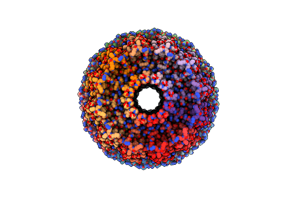 9IMV image