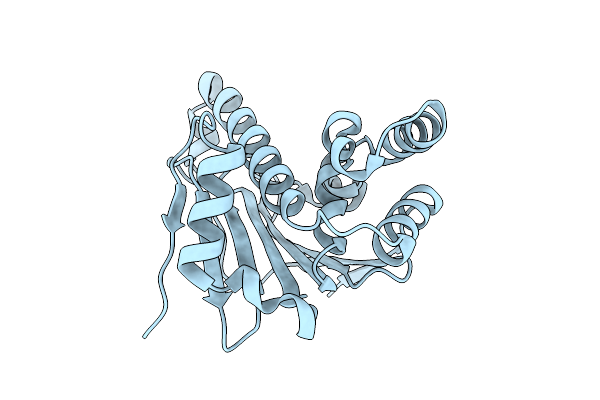 9IMW image