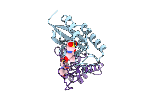 9INN image