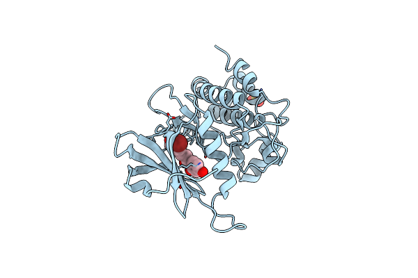 9INX image