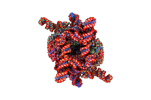9IOB image
