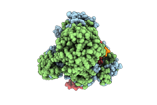 9IOL image