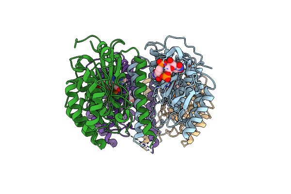 9ION image