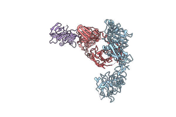 9IPD image
