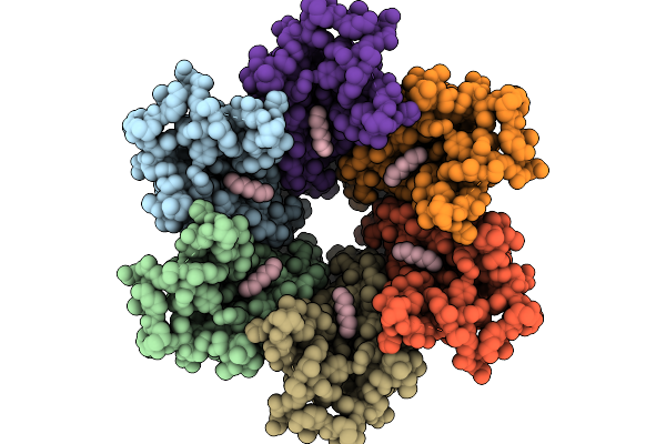 9IPM image