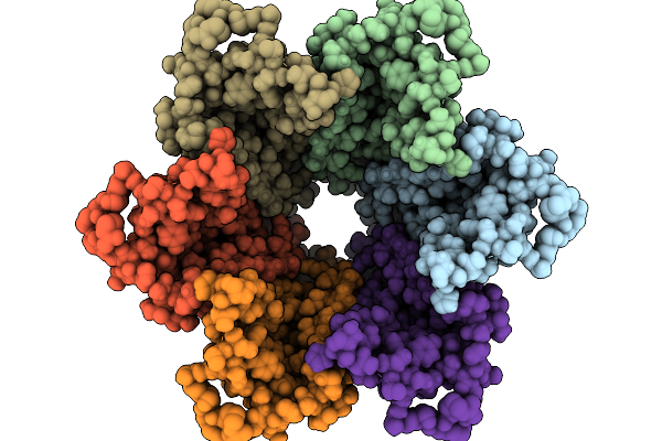 9IPN image