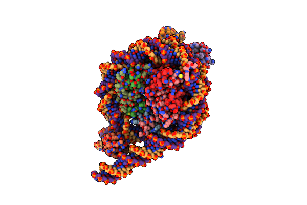 9IPU image