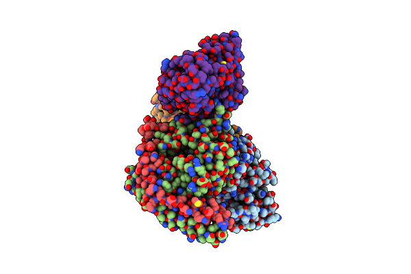 9IPV image