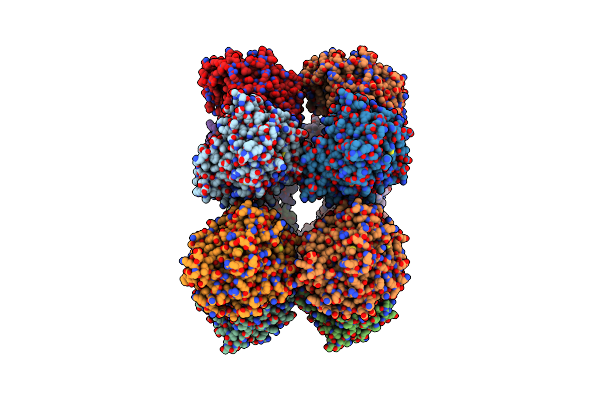 9IQB image