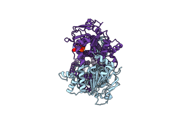9IQF image